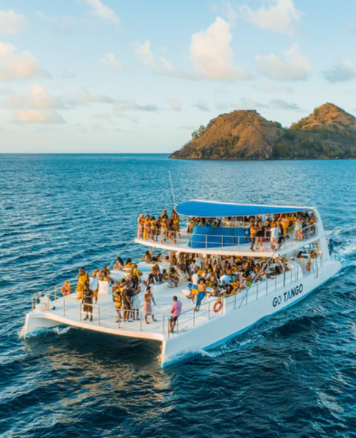 Gallery Buy a Yacht